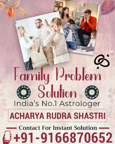  Astrologar Acharya Rudra Shastri +91-9166870652